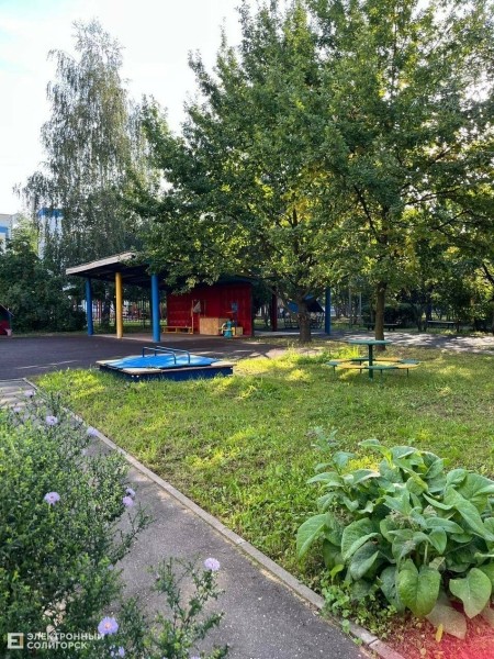 Как устроены детские сады за границей: рассказы мам из шести стран мира