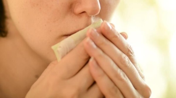 Заболели во время отпуска? Узнали, как его можно продлить