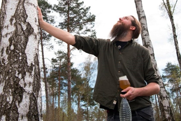 Немец сварил пиво на березовом соке Немец сварил пиво на березовом соке