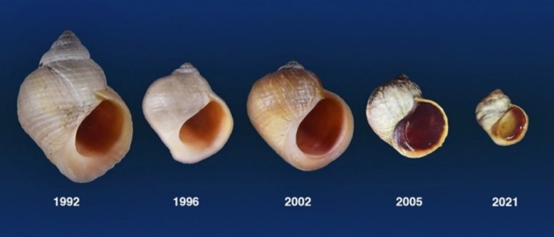 Эволюция в действии: 30-летний эксперимент раскрывает невероятные тайны